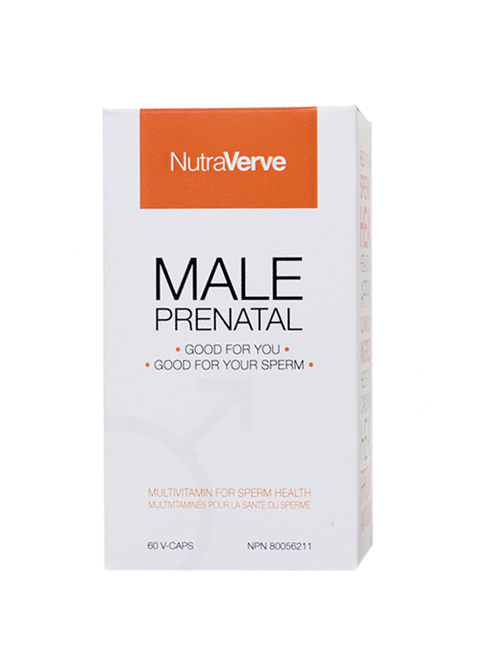 Male Prenatal