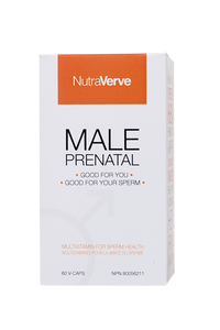 Male Prenatal