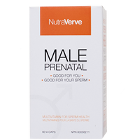 Male Prenatal